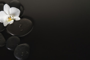 Obraz na płótnie Canvas Stones with orchid on dark background