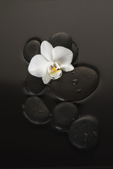 Obraz na płótnie Canvas Stones with orchid top view