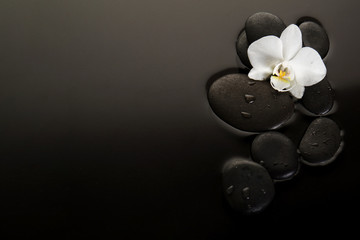 Stones with orchid and copy space