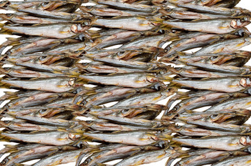 A lot of capelin fish, abstract pattern. View from above