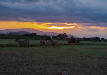 Fototapeta na wymiar Landscape of Tsavo East National Park, Kenya