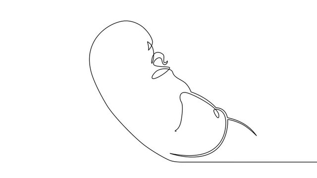 Self drawing simple animation of single continuous one line drawing bed, bedroom, morning, people, female, relax, couple, sleeping, sleep, bedtime . Drawing by hand, black lines on a white background.
