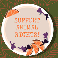 Writing note showing Support Animal Rights. Business photo showcasing protection and proper treatment of all animals Cutouts of Sliced Lime Wedge and Herb Leaves on Color Plate