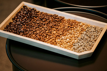 Coffee bean in various stage Raw beans to dark roast