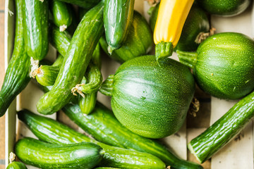 Many green healthy vegetables. Fresh zucchinis with great taste..Beautiful different vegetables varieties for a vegetarian food.