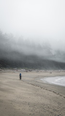 Obraz premium Hiking on the West Coast Trail (WCT)