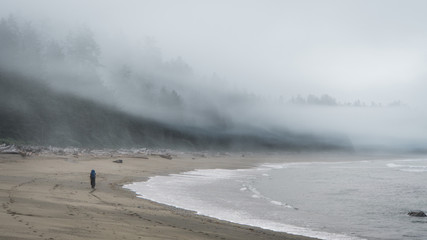 Hiking on the West Coast Trail (WCT)