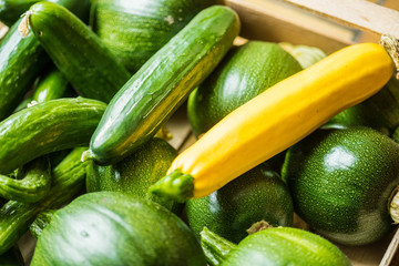 Many green healthy vegetables. Fresh zucchinis with great taste..Beautiful different vegetables varieties for a vegetarian food.