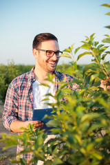 Happy young male agronomist or farmer inspecting young trees in a fruit orchard. Holding a clipboard and filling data into questionnaire. Organic farming and healthy food production