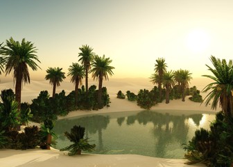 Fototapeta premium Oasis in the desert at sunset, a pond with palm trees in the sands under the sun