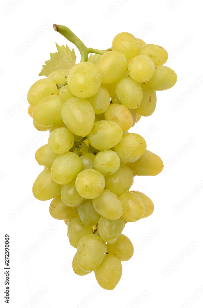 Canvas Prints grapes