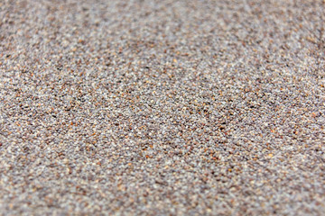 Photo of closeup texture of poppy seeds, background