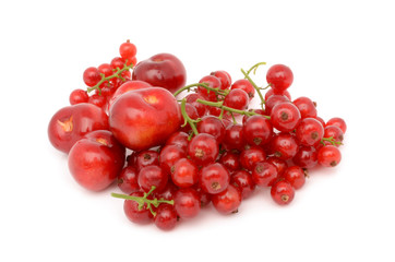 cherries and red currants