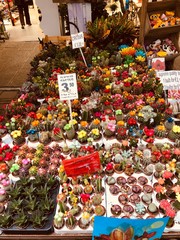 Amsterdam Flower Market