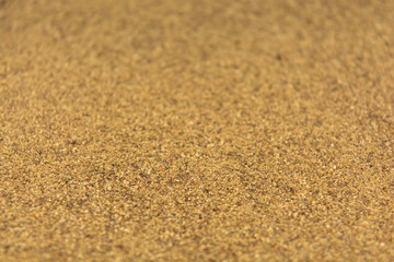 Photo of closeup texture of hot spice of black pepper for different food, background