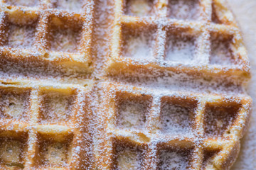 Belgian or Brussels tasty waffels bakery powdered sugar