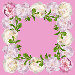 Beautiful floral pattern of pink and white peonies. Isolated