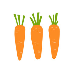 Carrot sketch. Orange vegetable. Hand drawn doodle vector. Healthy food. Vegetarian product. Vegan menu
