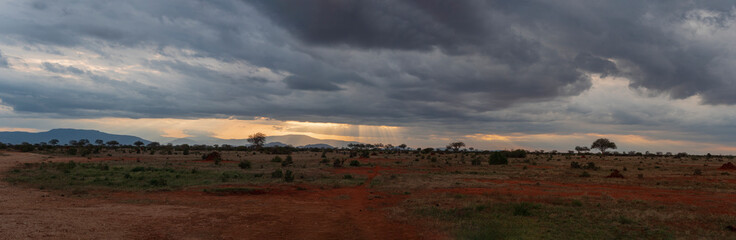 Panoramic of Tsavo East National Park, Kenya