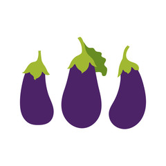 Eggplant sketch. Vegetable. Hand drawn doodle vector. Healthy food. Vegetarian product. Vegan menu