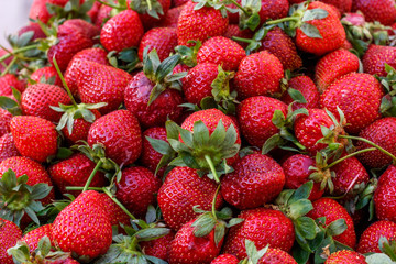 Red fresh ripe strawberries with green leaves