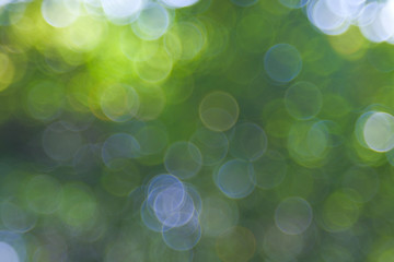 Natural green blurred background. Abstract background with bokeh defocused lights. Royalty...