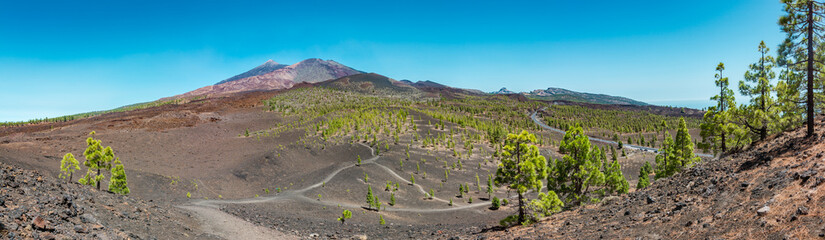 Naklejka premium Pico del Teide - Spectacular volcano on Tenerife, with it's surroundings