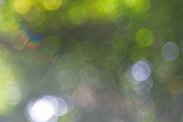 Green bio background, abstract blurred foliage bright sunlight. Organic design nature abstract background with copyspace for text advertising design. Green abstract light background and bokeh effect