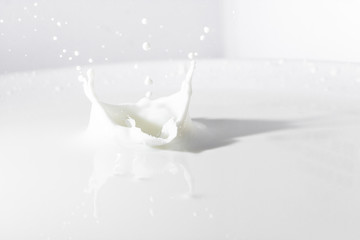 Milk background with splash effect