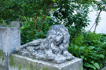 Old grunge lion statue on Lviv city street, Ukraine