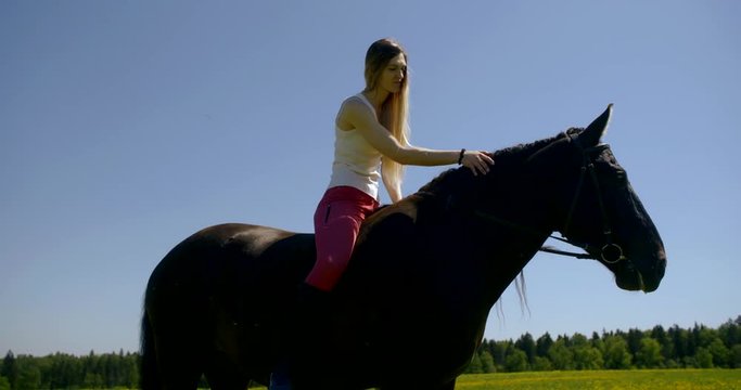 horse with woman on back is standing in blooming field, girl is stroking animal, walking in summer