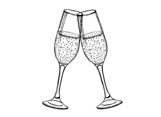 Champagne glasses vector illustration of hand drawing