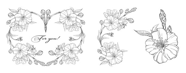 floral composition with spring flowers