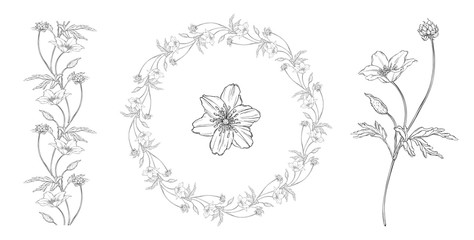 vector set of floral floral patterns