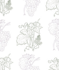 Hand drawn grape and vine seamless pattern. Vintage engraving style