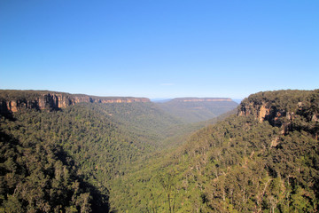 Naklejka premium Australian bushland Near Fitzroy Falls Kangaroo Valley