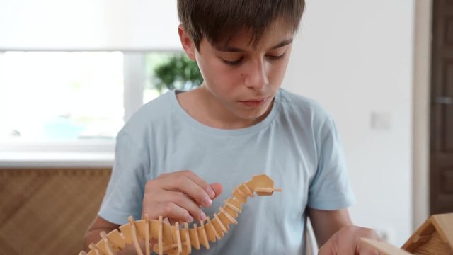 The boy constructs a dinosaur from wooden 3d puzzle. Very passionate about his work. Studio video shot with very smooth dolly pan of child hobby in 4K definition.