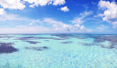Picture of paradise caribbean sea