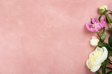 Beautiful pink peony flower blossoms closeup on vintage grunge concrete textured background. Happy International women's mother's valentine's first spring day. Copy space, close up, top view, backdrop