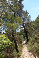 Sentier du Lubéron