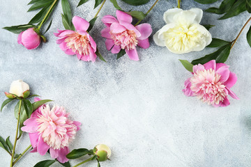 Beautiful pink peony flower blossoms closeup on vintage grunge concrete textured background. Happy International women's mother's valentine's first spring day. Copy space, close up, top view, backdrop