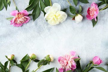 Beautiful pink peony flower blossoms closeup on vintage grunge concrete textured background. Happy International women's mother's valentine's first spring day. Copy space, close up, top view, backdrop