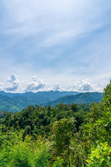 Obraz premium Blue sky high peak mountains fog hills mist scenery national park views at Phu Tub Berk, Khao Koh, Phetchabun Province, Thailand