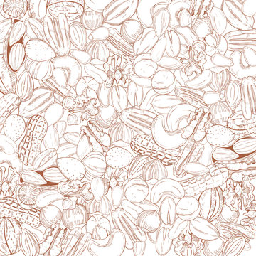 Vector background with hand drawn nuts. Sketch  illustration.