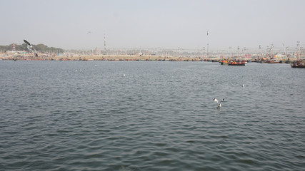 Flying birds on River Ganga and River Yamuna Sangam Prayagraj