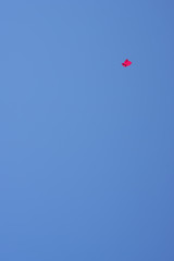 Red kite in the blue sky. Bali, Indonesia.