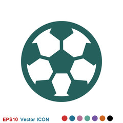 Fototapeta premium Sport ball icon. Flat vector illustration isolated on background