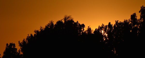 Obraz na płótnie Canvas Sunset in Falkensee (Brandenburg) near Berlin Spandau of July 9, 2015, Germany
