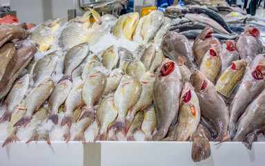seafood