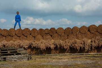 Boy standing on heaps of reed. National Park Weerribben Overijssel Netherlands. Moor and peatfields © A
